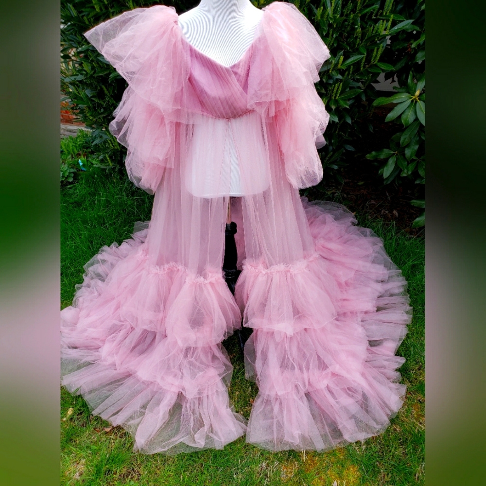 Beautiful Pink Sheer Dress for photoshoot 📷